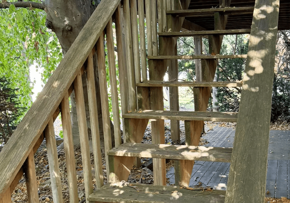 Wood Restoration 2 Wood Restoration 2